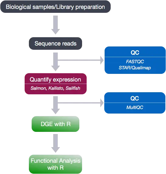 Can ChatGPT Watch a Video? A Technical Breakdown